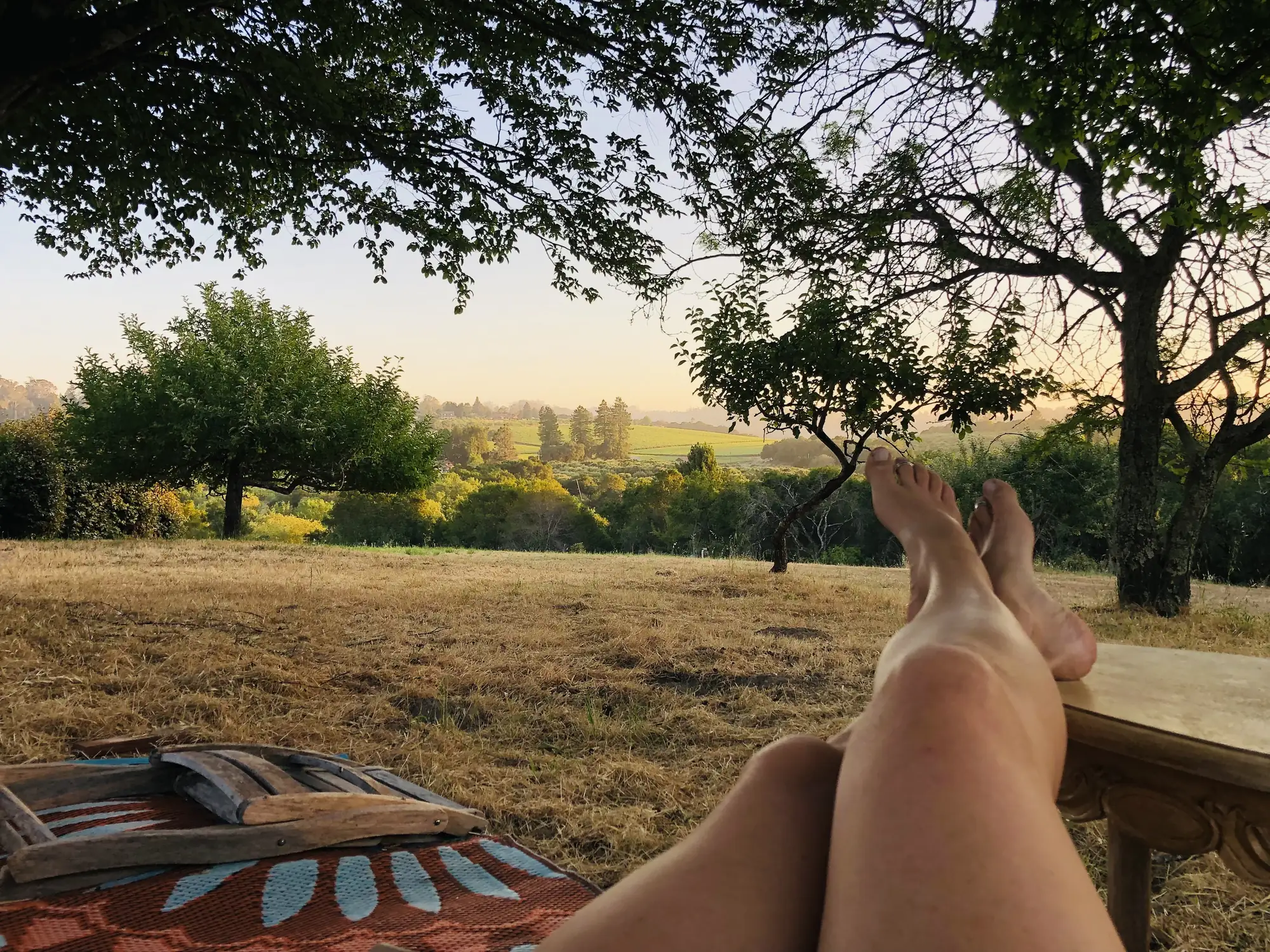 Why You're Always Tired and Have No Energy — Zen Odyssey post by Chandra Zas