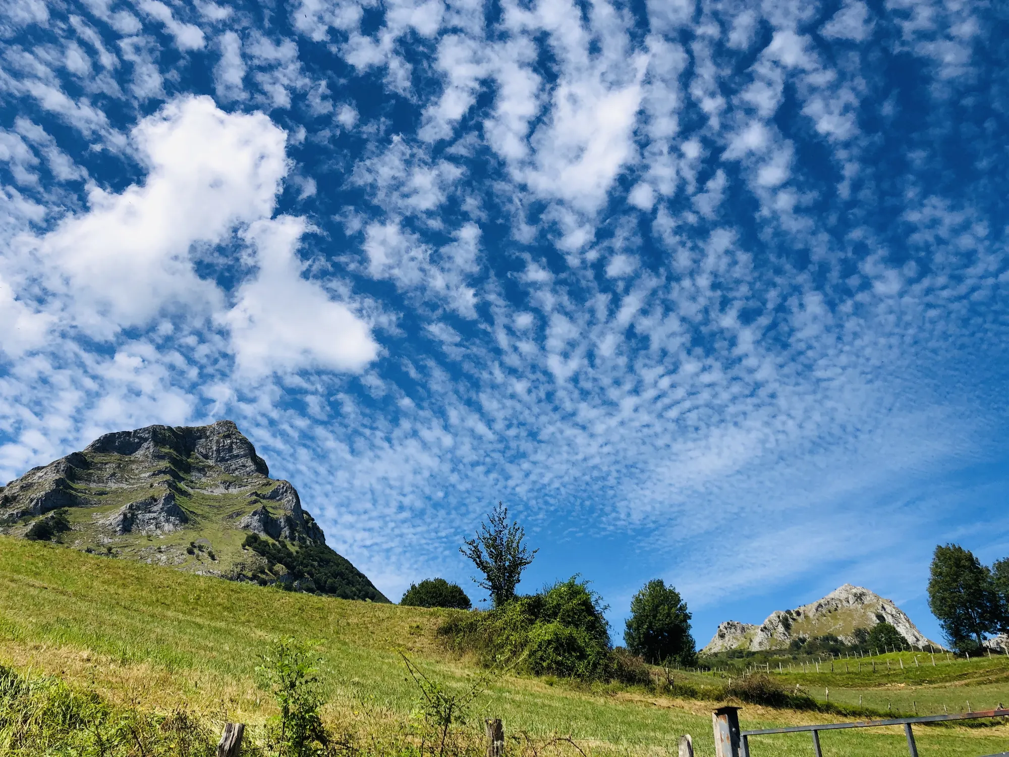 How to Stop Suppressing Your Emotions — Zen Odyssey post by Chandra Zas