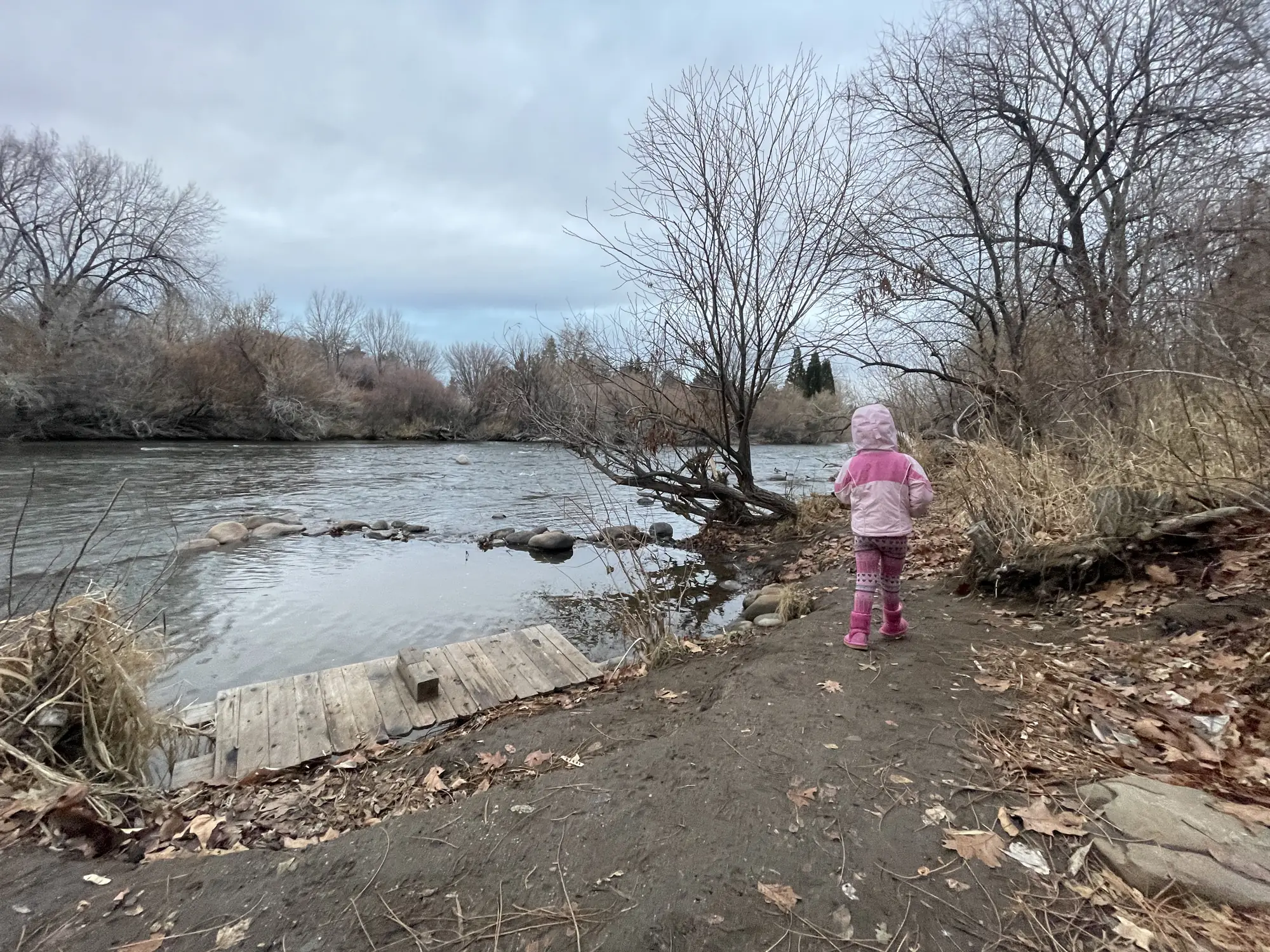 Mom Always Rushing and How to Slow Down for Real — Zen Odyssey post by Chandra Zas