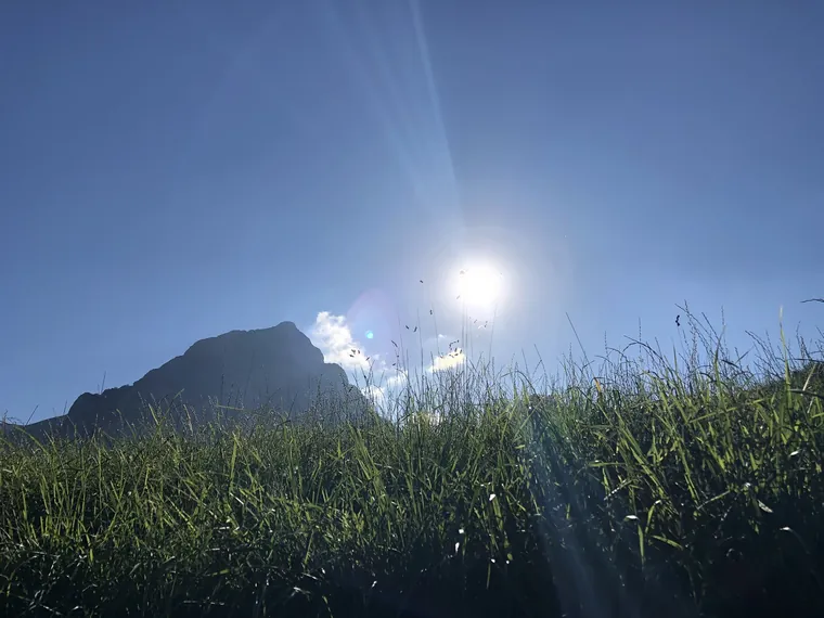 Signs of Nervous System Dysregulation and How to Heal — Zen Odyssey post by Chandra Zas