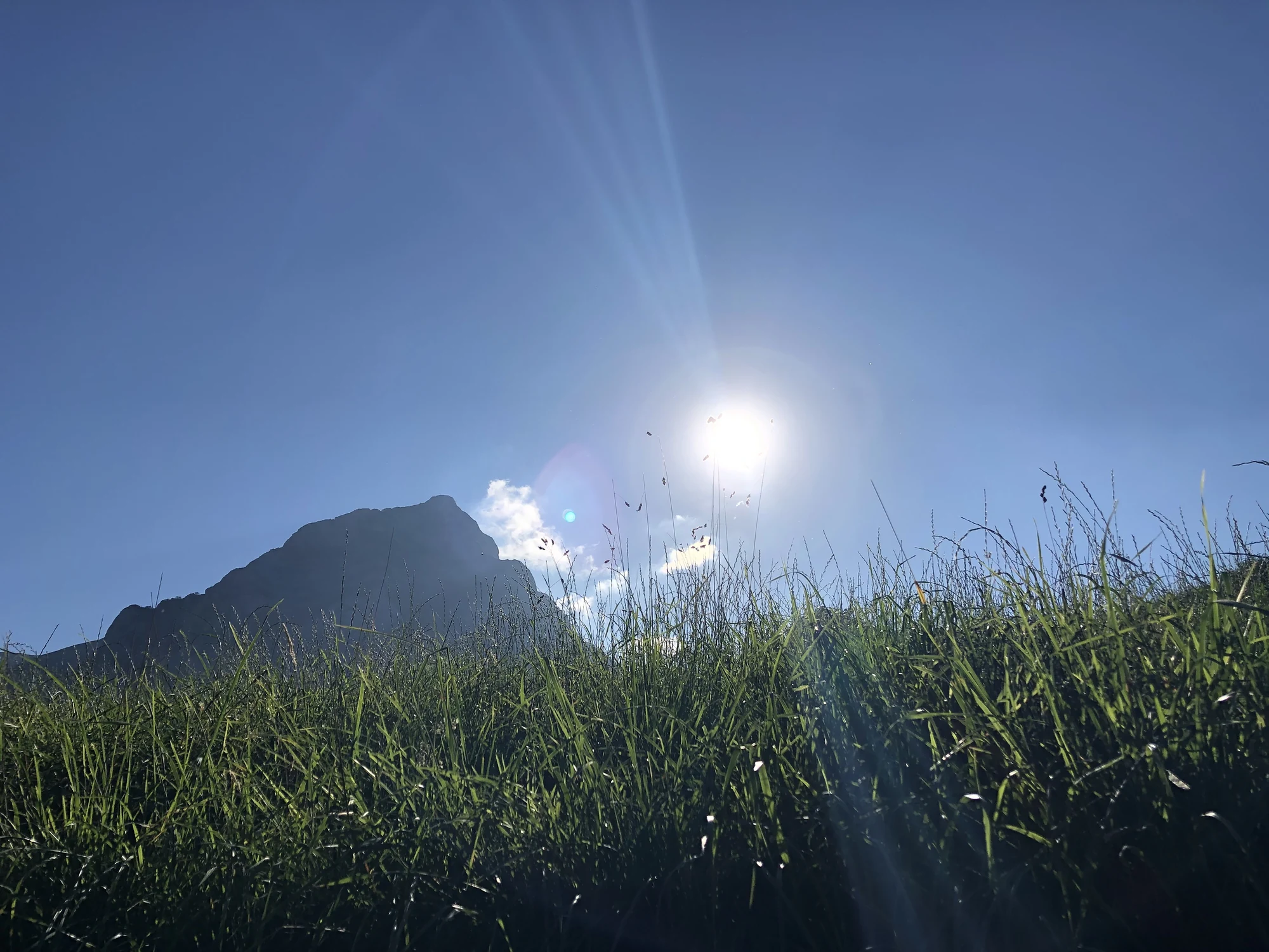 Signs of Nervous System Dysregulation and How to Heal — Zen Odyssey post by Chandra Zas