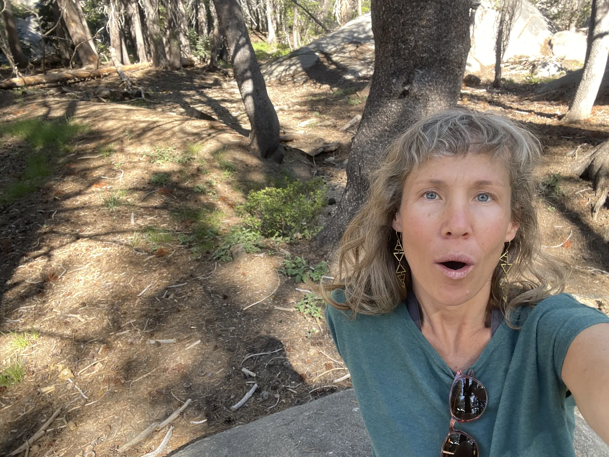 Stress and IBS: The Gut-Brain Loop and How to Calm It — Zen Odyssey post by Chandra Zas