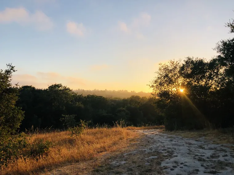 Useful vs Indulgent Emotions and How to Tell the Difference — Zen Odyssey post by Chandra Zas