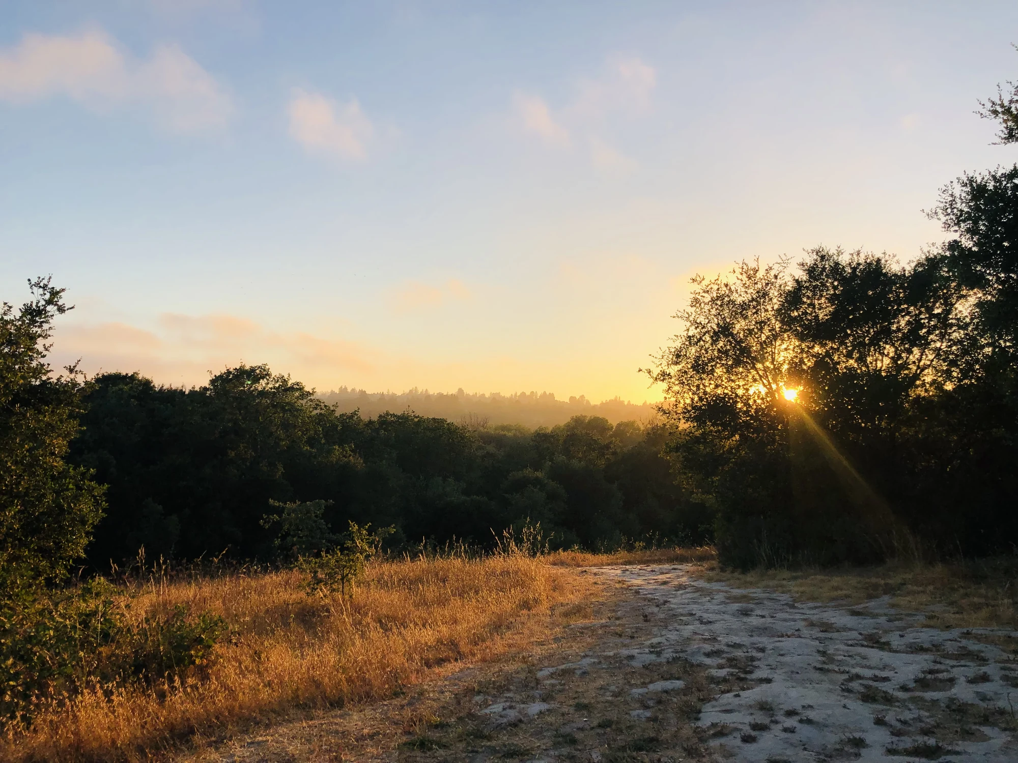 Useful vs Indulgent Emotions and How to Tell the Difference — Zen Odyssey post by Chandra Zas