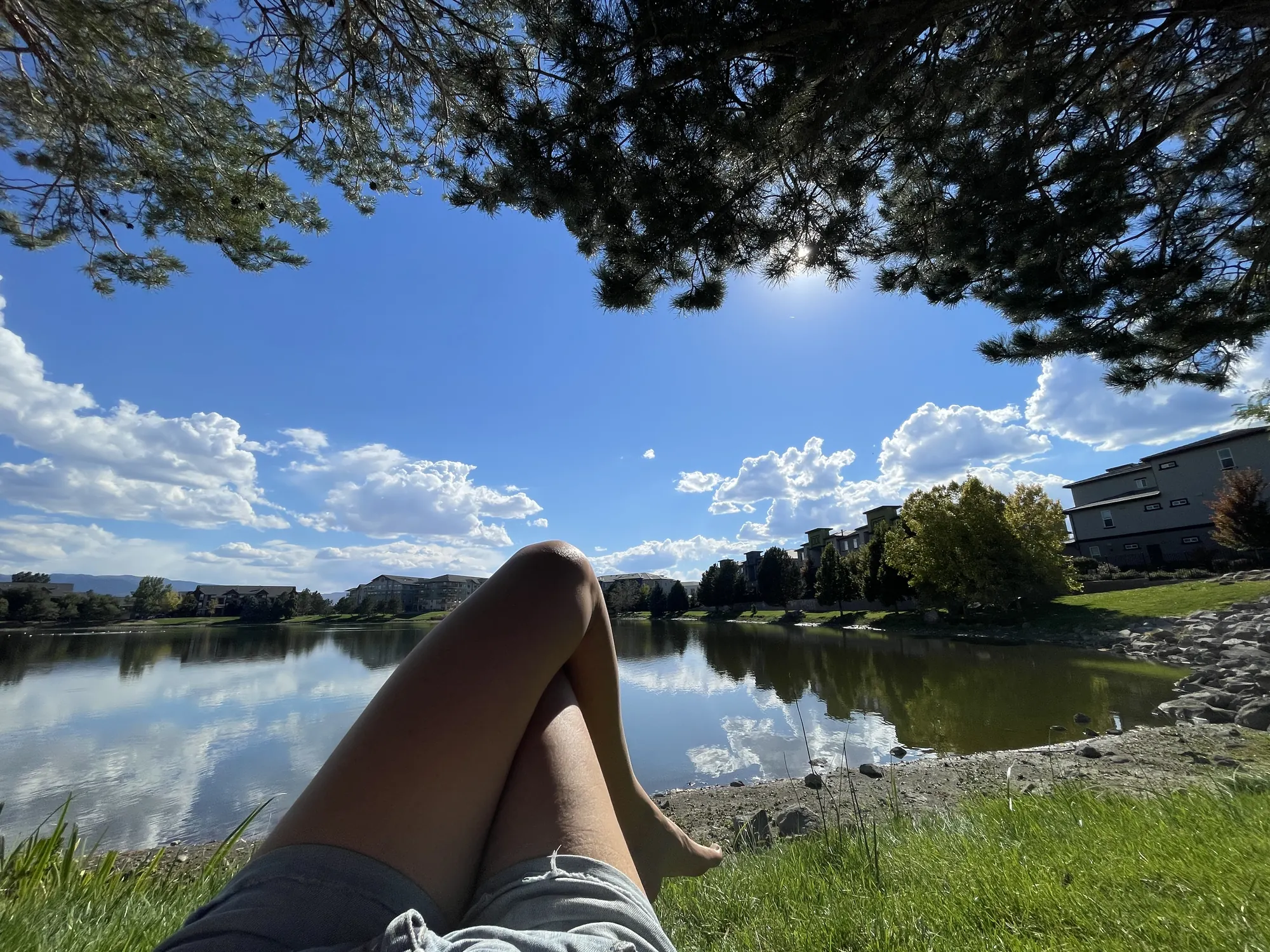 What Does FINE Mean Emotionally? (FINE Acronym) — Zen Odyssey post by Chandra Zas
