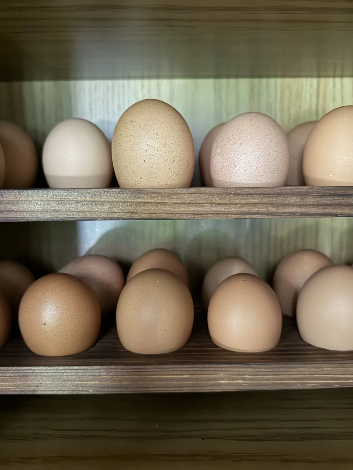 A wooden egg holder on our counter, filled with the brown speckled eggs we ship from Angel Acres Farms