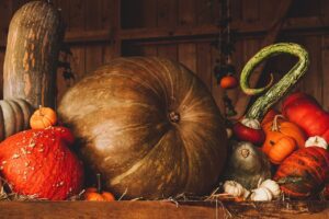 pumpkin, harvest, autumn-3698130.jpg