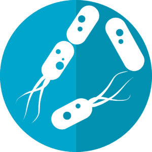 Re-Establishing Our Microbiome